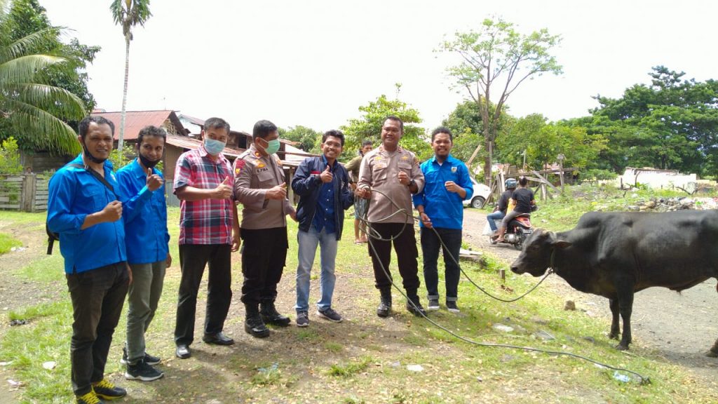 Polda Malut Gandeng KNPI Salurkan Hewan Kurban