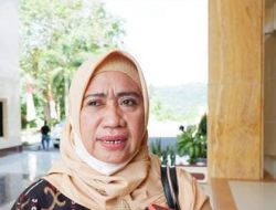 Anggaran Terbatas, Distan Malut Belum Fokus Pabrik Saos Tomat
