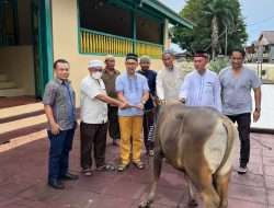 IKA SMANSA Salurkan 1 Ekor Sapi di Masjid Kesultanan Ternate