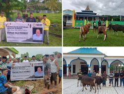 Haji Robert Salurkan 57 Ekor Hewan Kurban ke Wilayah Lingkar Tambang