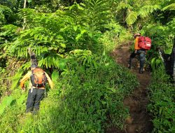 Remaja di Kota Ternate Hilang di Gunung Gamalama