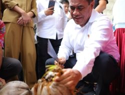 Pemerintah Ingin Maluku Utara Jadi Pusat Hilirisasi Kelapa Indonesia
