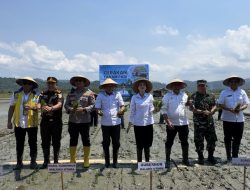 Perkuat Ketahanan Pangan, Pemprov Garap 1.000 Hektare Lahan di Halmahera Timur