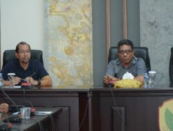 Bobocabin Masuk Tidore, Pemkot Buka Pintu Investasi Glamping