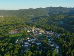 Bukan Sekadar Produksi, NHM Fokus Pulihkan Ekosistem Pascatambang