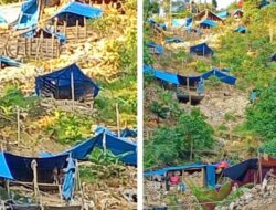 Polda Malut Didesak Panggil dan Periksa Haji Malang Pemilik Tromol dan Tong di Tambang Kusubibi