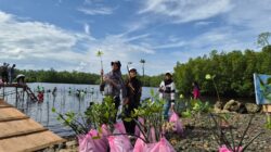 Lestarikan Ekosistem Pesisir, PT Position Tanam 1.000 Mangrove di Haltim