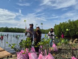 Lestarikan Ekosistem Pesisir, PT Position Tanam 1.000 Mangrove di Haltim