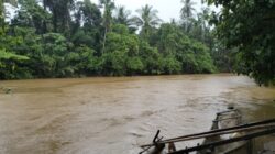 BWS Malut Diminta Bekerja Profesional dan Transparan, Usut Tuntas Dugaan Pengalihan Sungai Kobe