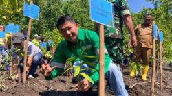 Penanaman Mangrove Tahap II: Wujud Nyata Komitmen ESG NHM untuk Lingkungan dan Masyarakat