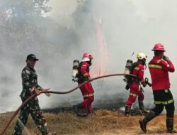 Kebakaran Landa Perkebunan Makaeling, Tim ERT NHM Bergerak Cepat Jinakkan Api