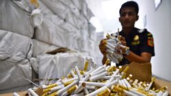 Rokok Ilegal Kian Merajalela di Maluku Utara, Ternate Jadi Fokus Pengawasan Bea Cukai