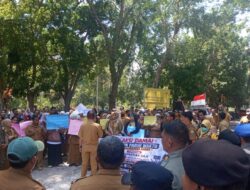 Selama Empat Bulan, Ratusan PPPK Paruh Waktu di Halmahera Barat Bekerja Tanpa Digaji