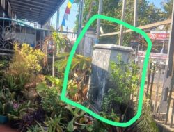 19 Tahun Gardu Traffic Light Berdiri di Lahan Warga, Ahli Waris Somasi Dishub Ternate