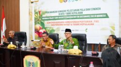 Tidore Kembalikan Kejayaan Jalur Rempah, Pala dan Cengkeh Jadi Andalan
